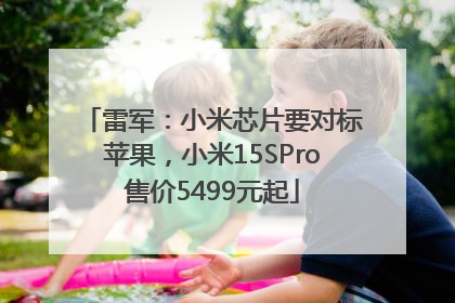 雷军：小米芯片要对标苹果，小米15SPro售价5499元起
