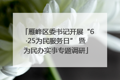 雁峰区委书记开展“6·25为民服务日” 暨为民办实事专题调研