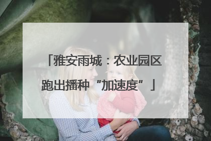 雅安雨城：农业园区跑出播种“加速度”