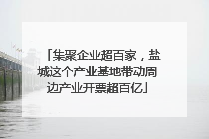 集聚企业超百家，盐城这个产业基地带动周边产业开票超百亿