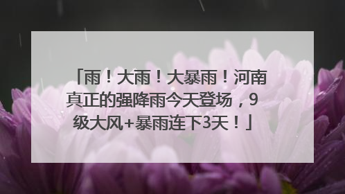 雨！大雨！大暴雨！河南真正的强降雨今天登场，9级大风+暴雨连下3天！