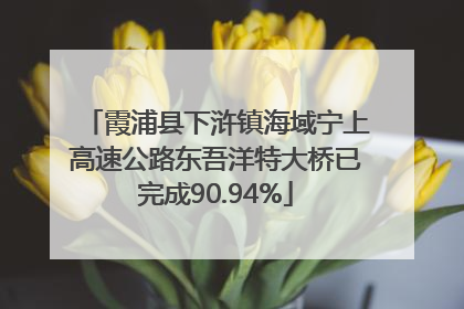 霞浦县下浒镇海域宁上高速公路东吾洋特大桥已完成90.94%