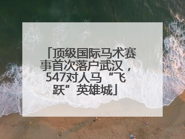 顶级国际马术赛事首次落户武汉，547对人马“飞跃”英雄城