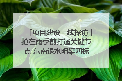 项目建设一线探访｜抢在雨季前打通关键节点 东南退水明渠四标段项目顺利完工