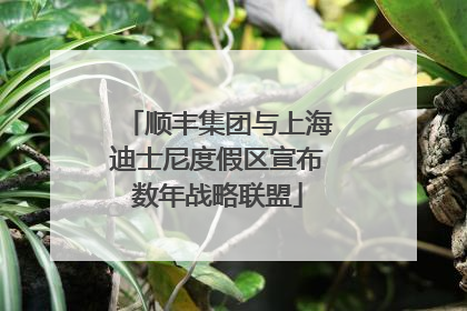 顺丰集团与上海迪士尼度假区宣布数年战略联盟