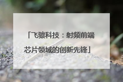 飞骧科技：射频前端芯片领域的创新先锋