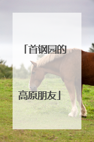 首钢园的高原朋友