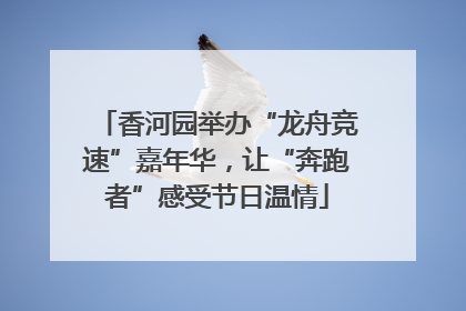 香河园举办“龙舟竞速”嘉年华，让“奔跑者”感受节日温情