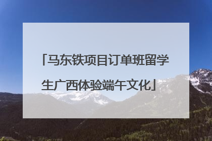 马东铁项目订单班留学生广西体验端午文化