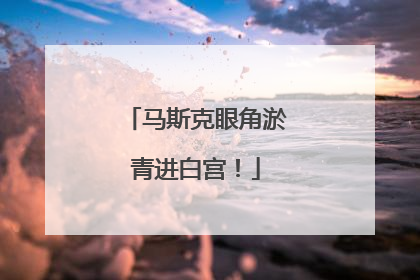 马斯克眼角淤青进白宫！