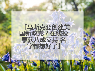 马斯克要创建美国新政党？在线投票获八成支持 名字都想好了