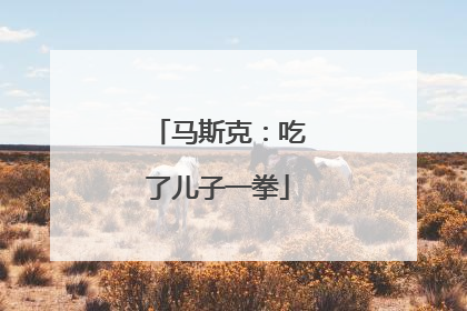 马斯克：吃了儿子一拳