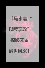 马永嬴“以陵窥政” 掠影文景治世风采