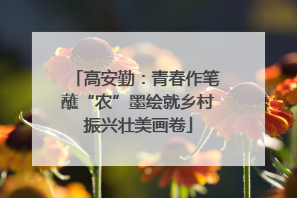 高安勤：青春作笔蘸“农”墨绘就乡村振兴壮美画卷