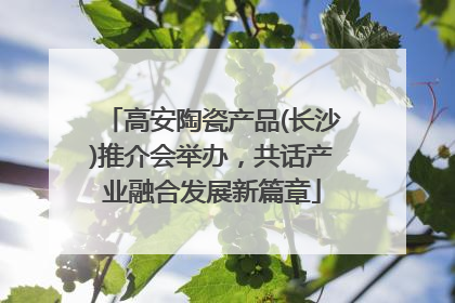 高安陶瓷产品(长沙)推介会举办，共话产业融合发展新篇章
