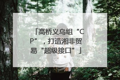 高桥义乌组“CP”，打造湘非贸易“超级接口”