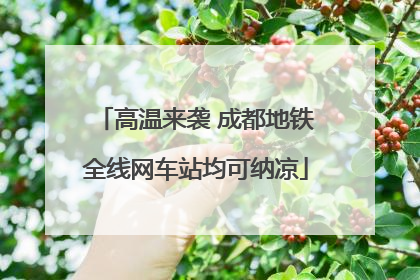 高温来袭 成都地铁全线网车站均可纳凉