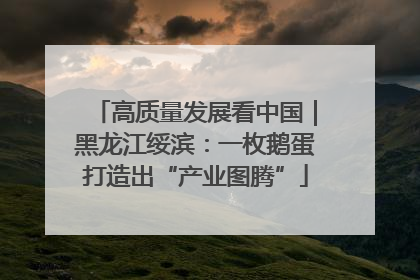 高质量发展看中国｜黑龙江绥滨：一枚鹅蛋打造出“产业图腾”