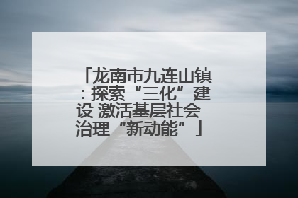 龙南市九连山镇：探索“三化”建设 激活基层社会治理“新动能”