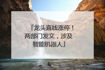 龙头直线涨停！两部门发文，涉及智能机器人