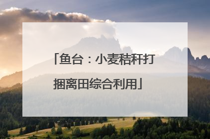鱼台：小麦秸秆打捆离田综合利用