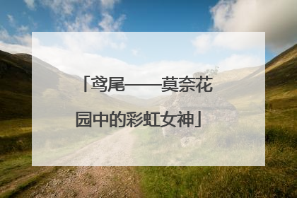 鸢尾——莫奈花园中的彩虹女神