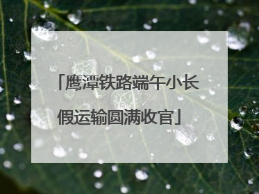 鹰潭铁路端午小长假运输圆满收官