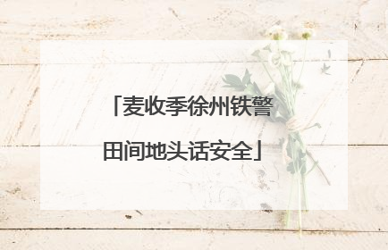 麦收季徐州铁警田间地头话安全