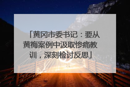 黄冈市委书记：要从黄梅案例中汲取惨痛教训，深刻检讨反思