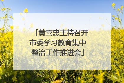 黄喜忠主持召开市委学习教育集中整治工作推进会