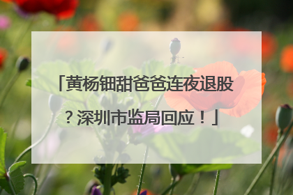 黄杨钿甜爸爸连夜退股？深圳市监局回应！