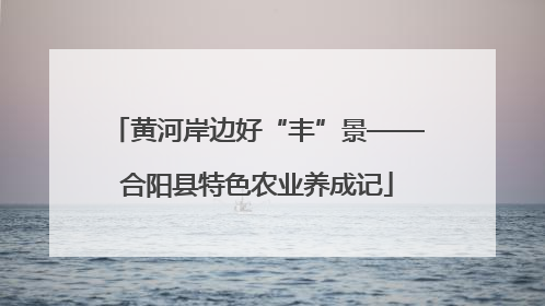 黄河岸边好“丰”景——合阳县特色农业养成记