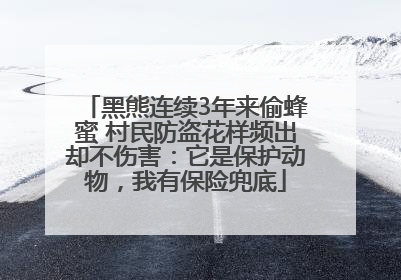 黑熊连续3年来偷蜂蜜 村民防盗花样频出却不伤害：它是保护动物，我有保险兜底