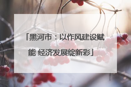 黑河市：以作风建设赋能 经济发展绽新彩