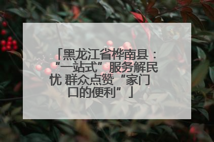 黑龙江省桦南县：“一站式”服务解民忧 群众点赞“家门口的便利”
