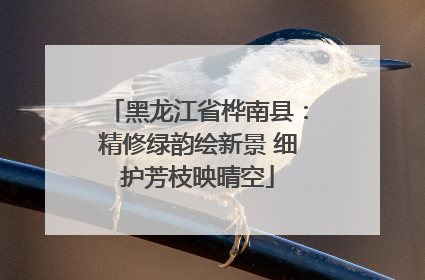 黑龙江省桦南县：精修绿韵绘新景 细护芳枝映晴空
