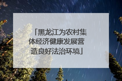 黑龙江为农村集体经济健康发展营造良好法治环境