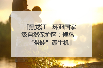 黑龙江三环泡国家级自然保护区：候鸟“带娃”添生机