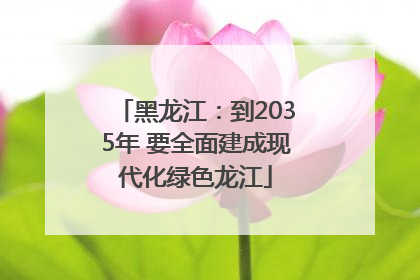黑龙江：到2035年 要全面建成现代化绿色龙江