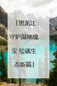黑龙江：守护湿地瑰宝 绘就生态新篇