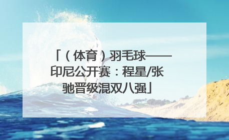（体育）羽毛球——印尼公开赛：程星/张驰晋级混双八强