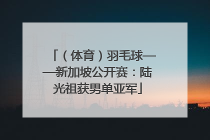 （体育）羽毛球——新加坡公开赛：陆光祖获男单亚军