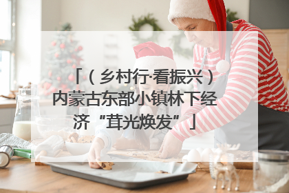 （乡村行·看振兴）内蒙古东部小镇林下经济“茸光焕发”