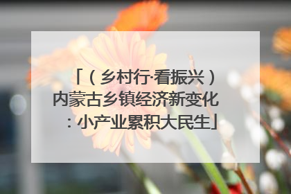 （乡村行·看振兴）内蒙古乡镇经济新变化：小产业累积大民生