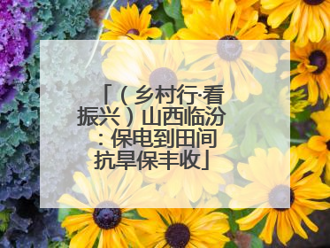 （乡村行·看振兴）山西临汾：保电到田间 抗旱保丰收
