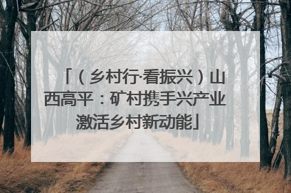 （乡村行·看振兴）山西高平：矿村携手兴产业 激活乡村新动能