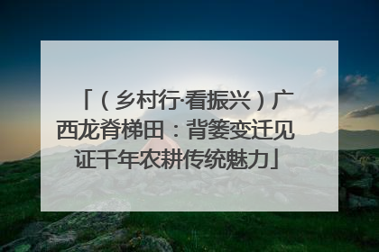 （乡村行·看振兴）广西龙脊梯田：背篓变迁见证千年农耕传统魅力