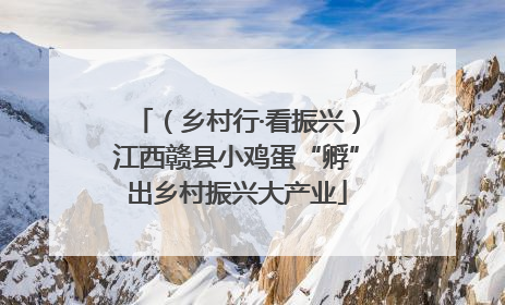 （乡村行·看振兴）江西赣县小鸡蛋“孵”出乡村振兴大产业