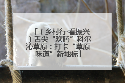 （乡村行·看振兴）舌尖“欢腾”科尔沁草原：打卡“草原味道”新地标