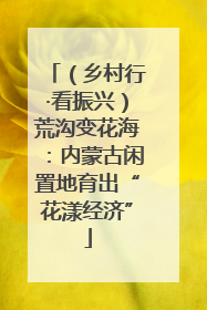 （乡村行·看振兴）荒沟变花海：内蒙古闲置地育出“花漾经济”